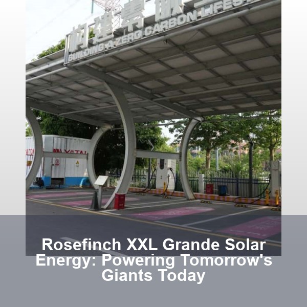 Rosefinch XXL Grande Solar Energy: Powering Tomorrow's Giants Today